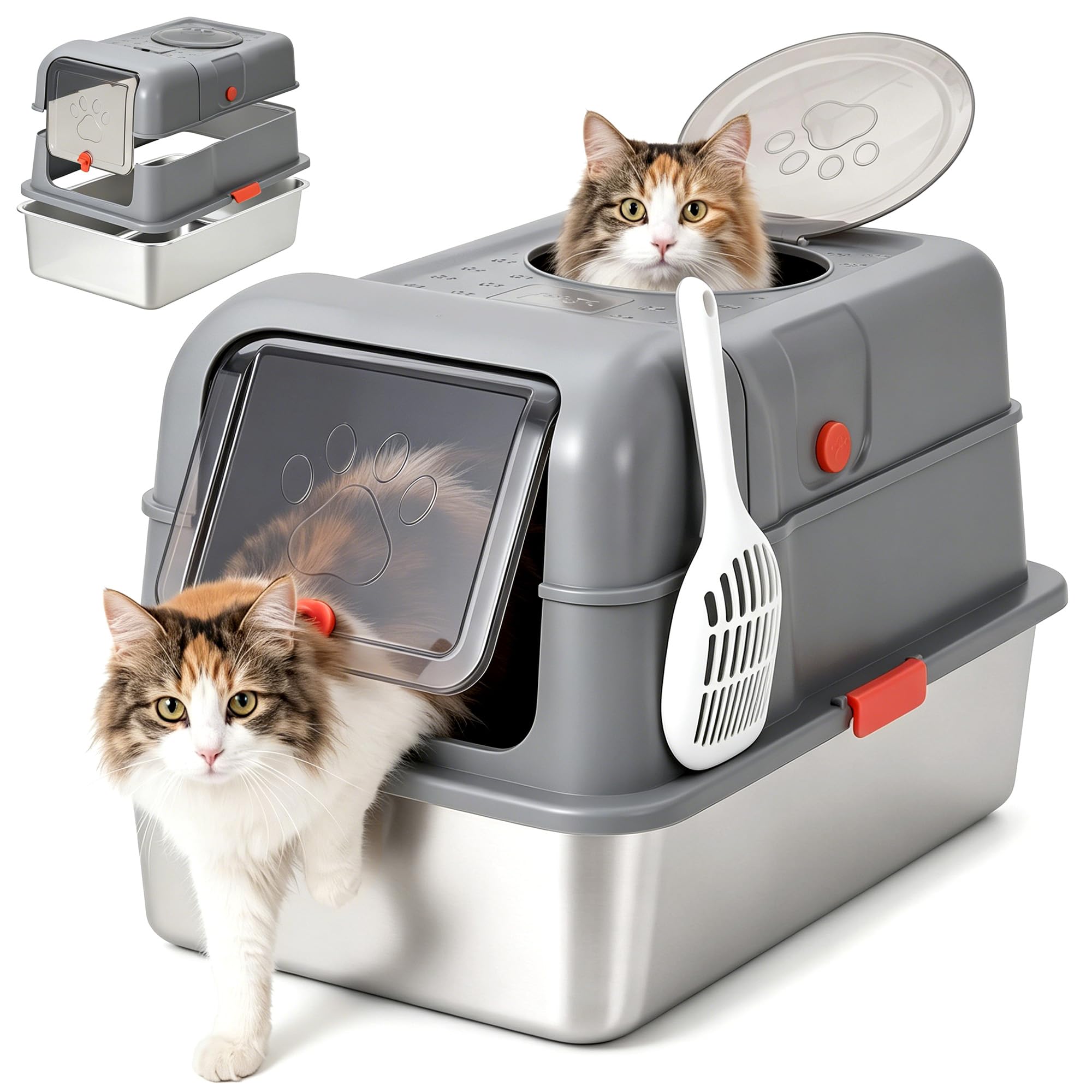 Enclosed Stainless Steel Litte - Food Storage Xl review and price