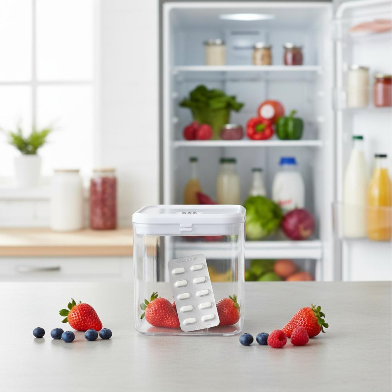 Clear Lockable Box Versatile L - Food Storage And review and price