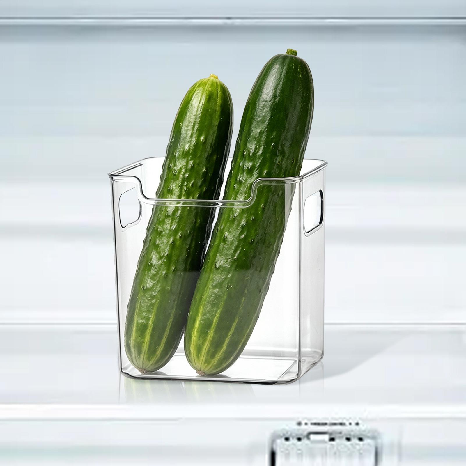 Refrigerator Bins with Handles - Food Storage Pantry review and price