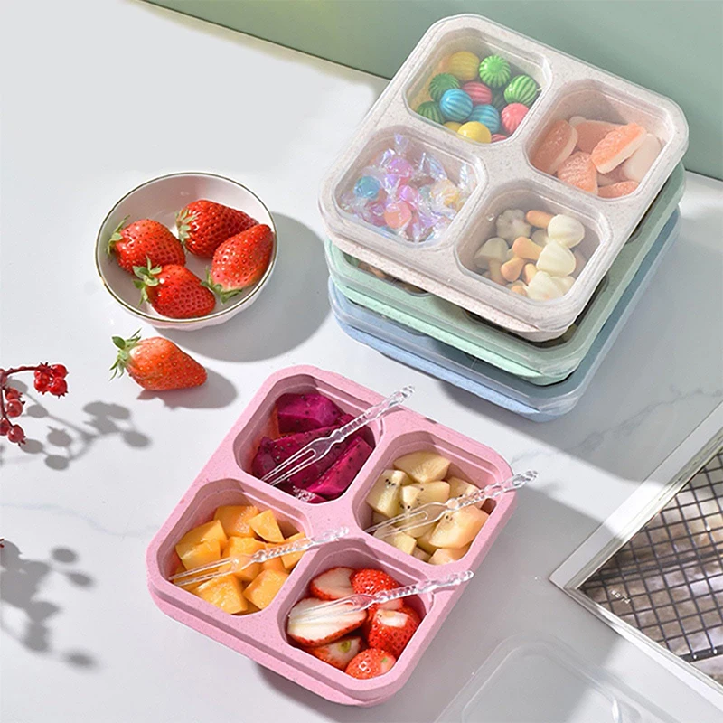 4 Grids Food Storage Box Porta - Food Storage Freezer review and price