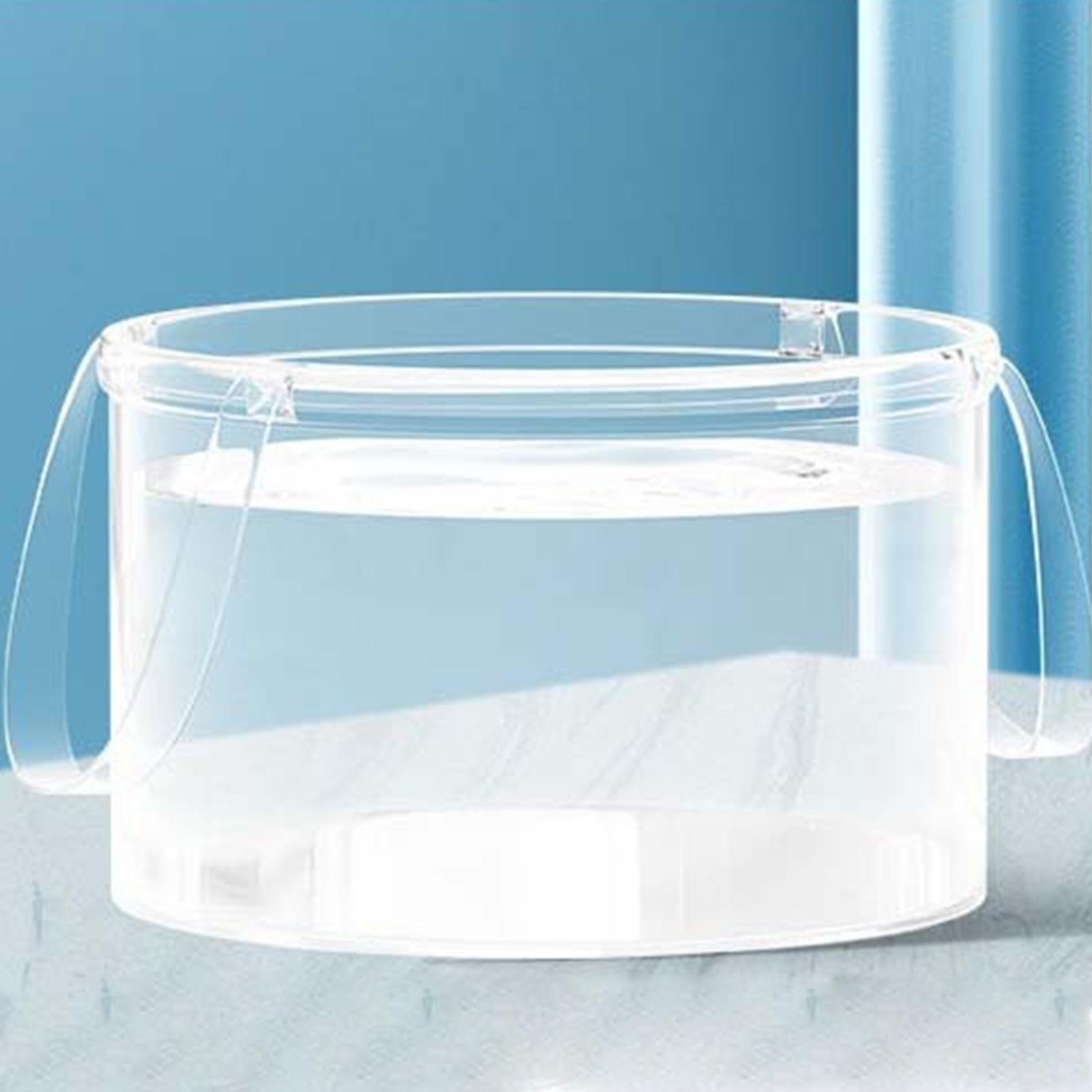 Clear Fruit Basket Food Storag - Food Storage Not Plastic review and price