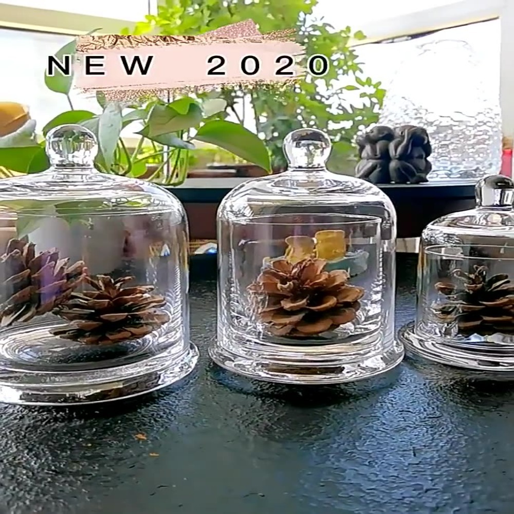 Glass Glass Storage Jar Eterna - Food Storage Of Plants review and price