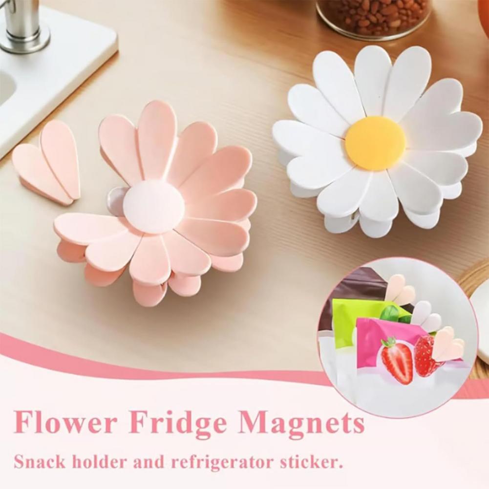 2-in-1 Magnetic Fridge Magnets - Food Storage Zip Lock Bags review and price